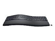 ERGO K860 FOR BUSINESS-GRAPHITE/CH - CENTRAL