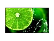 Display 75  NEC MultiSync® E758, UHD, IPS with Direct LED backlights, 400 cd/m², 18/7, media player