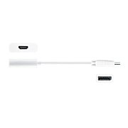 DISPLAYPORT TO 4K HDMI ACTIVE/ADAPTER