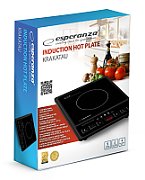 Esperanza EKH011 Black induction cooker