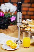 ELDOM Blender JAX  1000 W  metal tip  speed regulation  turbo