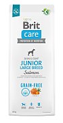 BRIT Care Junior Large Breed Salmon - dry dog food - 12 kg
