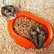 FERPLAST Combi 1 - cage for a hamster