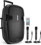 Active Speaker Cabinet (with 2 wireless microphones UHF  SD  Bluetooth  FM  USB) 60 Watt