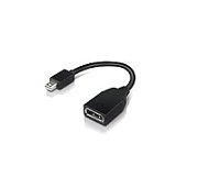 Lenovo DisplayPort adapter - 17.6 cm