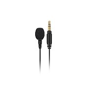 RODE LAVALIER GO - microphone Black  White Clip-on microphone