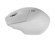 NATEC WIRELESS MOUSE SISKIN 2 BT 5.0 + 2.4GHZ