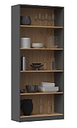 Topeshop R80 ANT/ART office bookcase