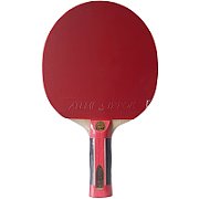 New Atemi 2000 Pro anatomical ping pong racket