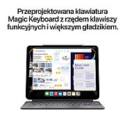 Apple 11-inch iPad Pro (M4) WiFi 256GB with Standard glass - Space Black (2024)