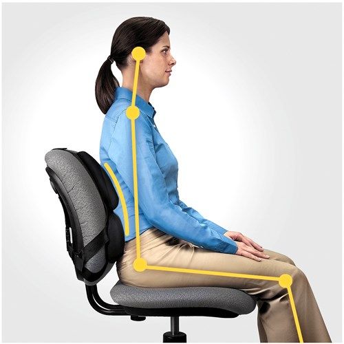 Fellowes Professional back support - Professional Series