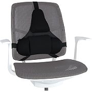 Fellowes Professional back support - Professional Series