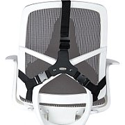 Fellowes Professional back support - Professional Series