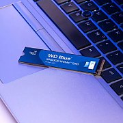 Western Digital 500GB WD BLUE SN5000 NVME SSD/PCIE GEN 4.0 UP TO 5000 MB/S RS