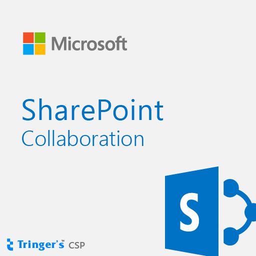 MS OVL SharePoint Svr Lic/SA ADD 3Y1Y GOV [D]