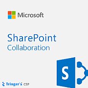 MS OVL SharePoint Svr Lic/SA ADD 3Y1Y GOV [D]