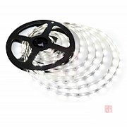 Diode cord 25m Rebel (1500x5050 SMD) cool white waterproof  12V