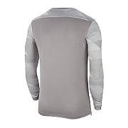 Nike Dry Park IV JSY LS GK Men's Goalkeeper Sweatshirt grey CJ6066 052 2XL
