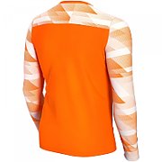 Nike Dry Park IV JSY LS GK JUNIOR Goalkeeper Sweatshirt Orange CJ6072 819 XS