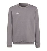 Sweatshirt for kids adidas Entrada 22 Sweat Top gray H57477 116cm