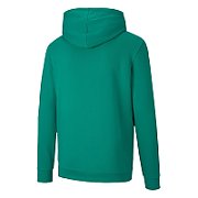 Puma teamGOAL 23 Causals Hoody green 656580 05 S