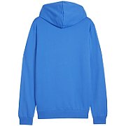 Puma Team Goal Casuals Hoody blue 658618 02