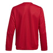 Sweatshirt for kids adidas Tiro 21 Track red GM7312 116cm