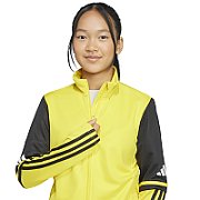 Women's sweatshirt adidas Tiro 24 Training yellow IR9498 XL