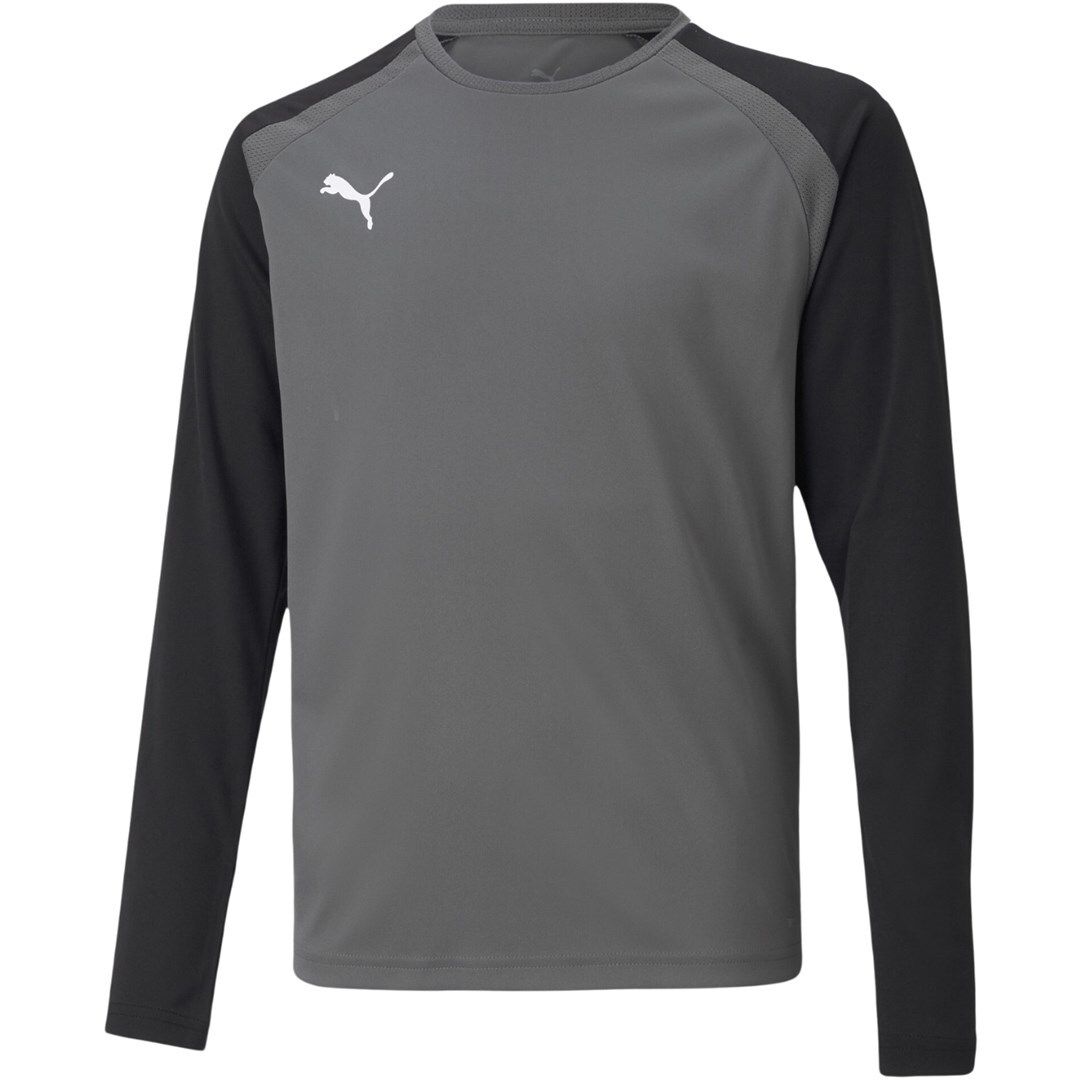 Puma teamPACER GK LS Jersey Goalkeeper Sweatshirt Grey 704939 43 140cm
