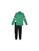 Puma Team Rise men's tracksuit green-black 658653 05