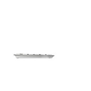KW 9100 SLIM FOR MAC KEYBOARD/WIRELESS SILVER FRANCE