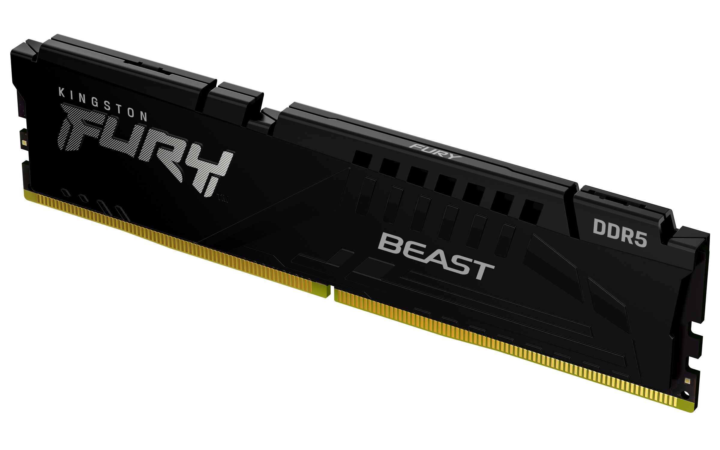8GB DDR5 6000MT/S CL30 DIMM/FURY BEAST BLACK EXPO
