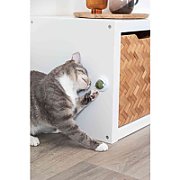 Kulka z kocimiętki z uchwytem  dla kota  5 cm  do przyklejania