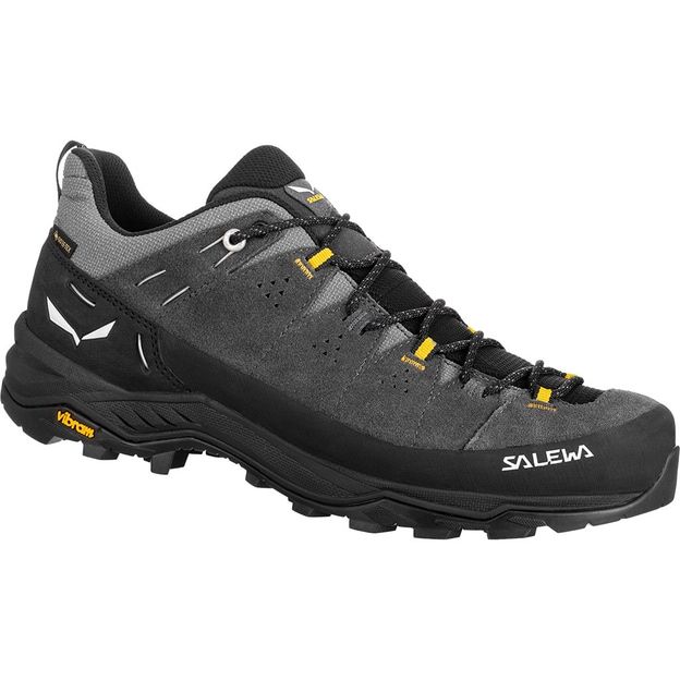 Alp Trainer 2 gtx-onyx-black-uk 9 (43)