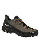 Shoes alp trainer 2 gtx-bungee cord-black-uk 8 (42) SALEWA