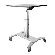 MOBILE SIT STAND WORKSTATION/.