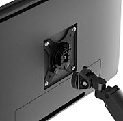 Neomounts TIS 17 -32  2TFT schwarz Max.9KG