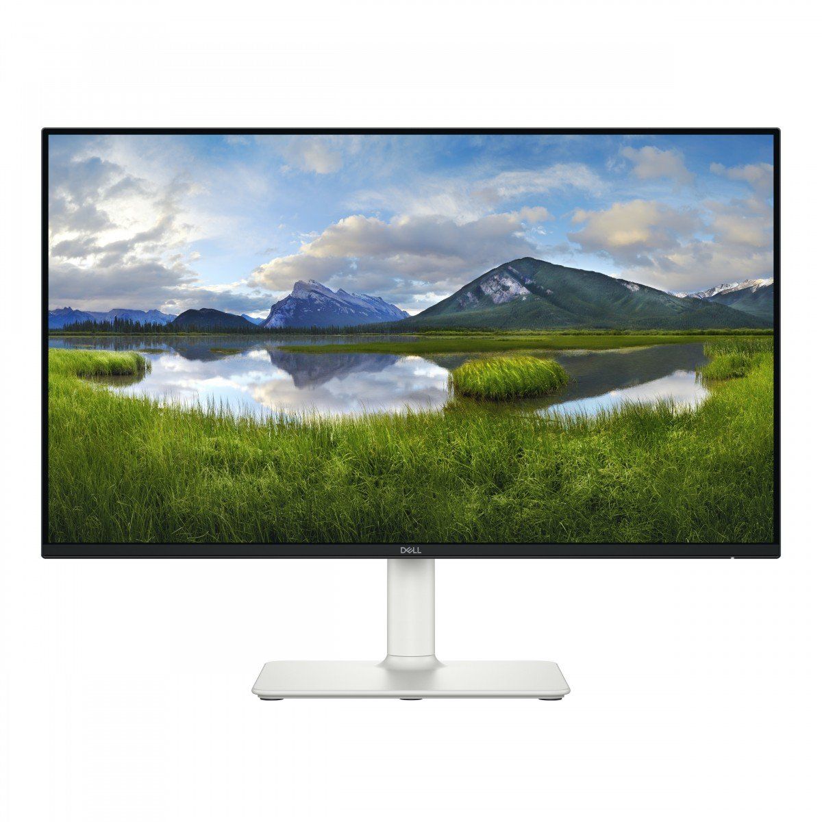 Monitor 24 inch Dell S Series S2425HS 1920 x 1080, 100 Hz