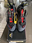 Tarantula black poppy