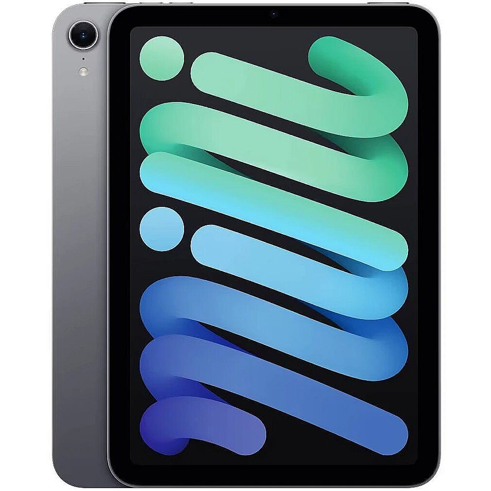 IPAD MINI WI-FI + CELL 256GB/SPACE GREY