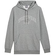 Bluza męska Puma Ess+ Logo LAB Gradient Hoodie FL szara 681775 03 M