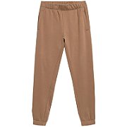 Men's trousers Outhorn brown HOL22 SPMD604 81S S