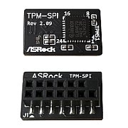 TPM-SPI/INFINEON/BULK