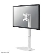 Suport dublu monitor de birou Neomounts FPMA-D890WHITE pentru display- uri cu diagonale 10 -30 , sistem de prindere VESA 75x75~100x100, greutate maxima suportata 6kg, full motion, tilt +80°, swivel 60°, rotate 180° inaltime reglabila manual 360-540mm culoare negru. Garantie 5 ani