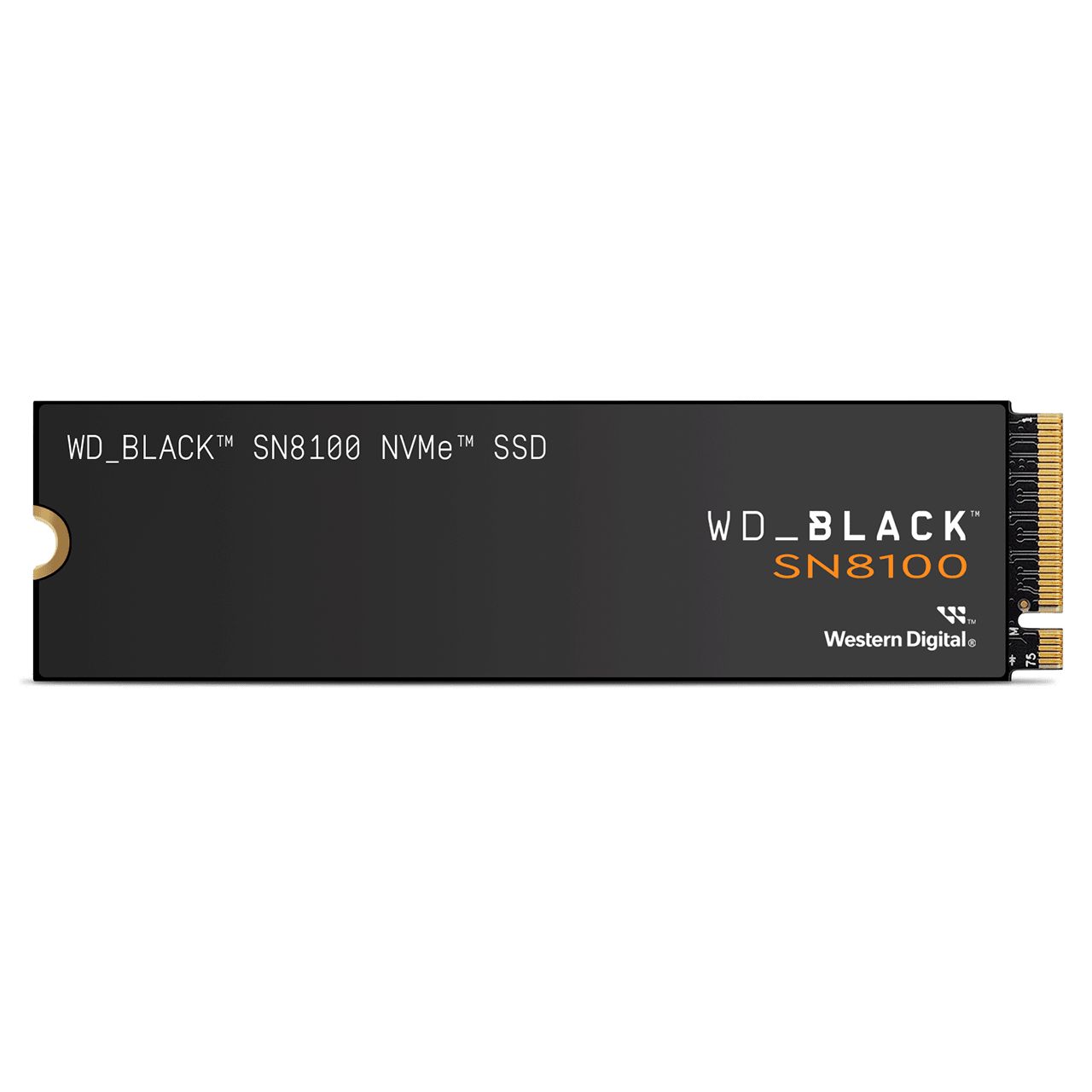 Western Digital WD SSD M.2 (2280) 1TB Black SN8100 PCIe 5.0/NVMe (Di)