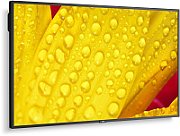 NEC MultiSync M431-2 Design tip kiosk 109,2 cm (43 ) LED 500 cd/m² 4K Ultra HD Negru Procesor încorporat