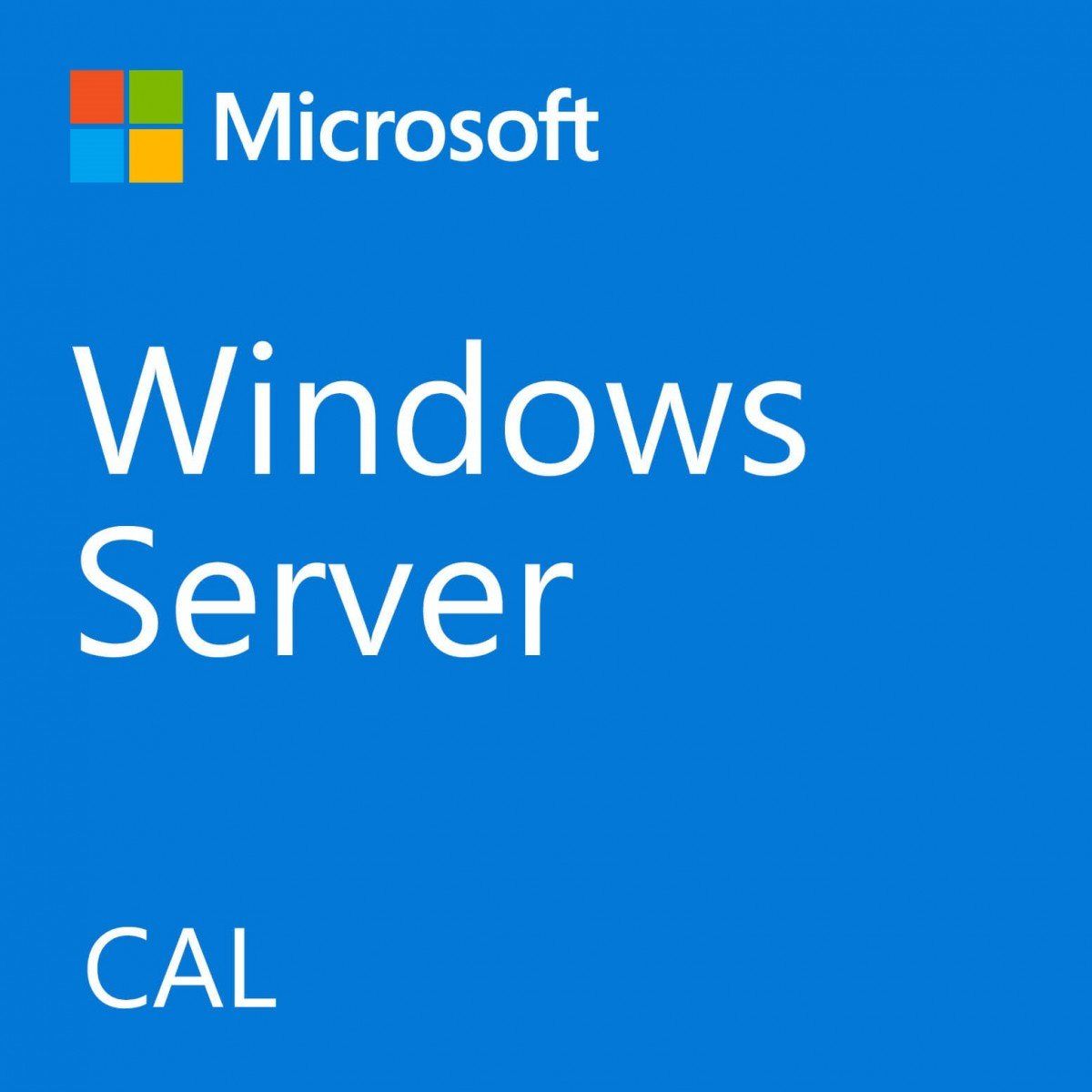 Fujitsu Windows Server 2022 CAL Licență acces client (CAL) 1 licență(e)