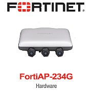 Fortinet FortiAP 234G 1201 Mbit/s Alb Power over Ethernet (PoE) Suport