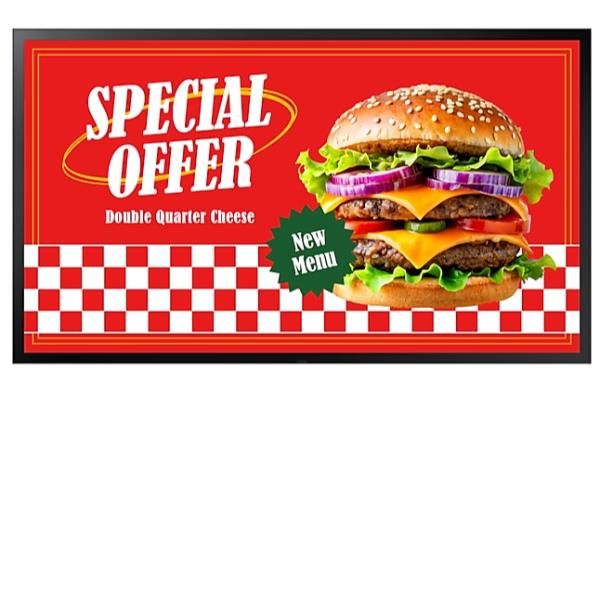 Samsung 55  16:9 OH55D-X Outdoor LCD