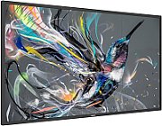 Philips 50BDL3650Q - 50  Diagonal Class (49.5  viewable) - Q-Line LED-backlit LCD display - digital signage - 4K UHD (2160p) 3840 x 2160...